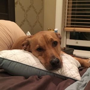 Meet your Posher, Kayleigh